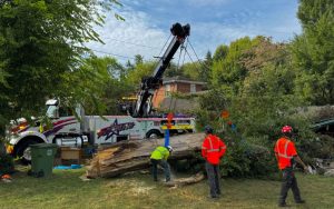 Jinks Motor Carriers Heavy Towing & Recovery Inc.2025 (27)